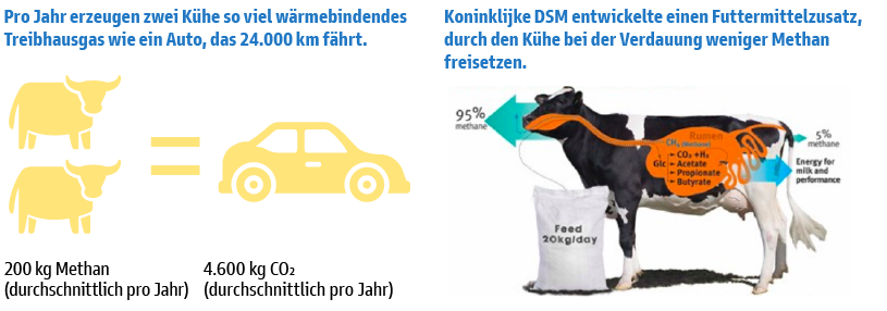 Grafik 2: Kühe und der Klimawandel 