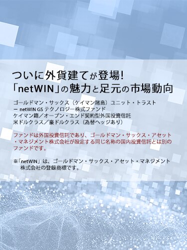 外貨建て Netwinの魅力と足元の市場動向 動画 大和証券 ゴールドマン サックス アセット マネジメント