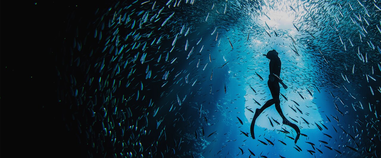 am-retirement-survey-gender-report-2024-global-hero-marquee-d am-retirement-survey-gender-report-2024-global-hero-marquee-d