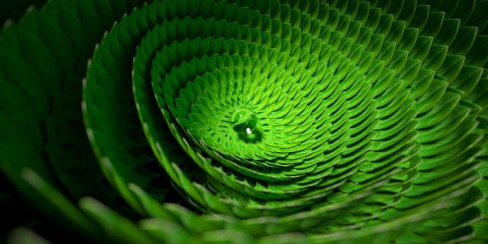 climate-investing-leaves-feature