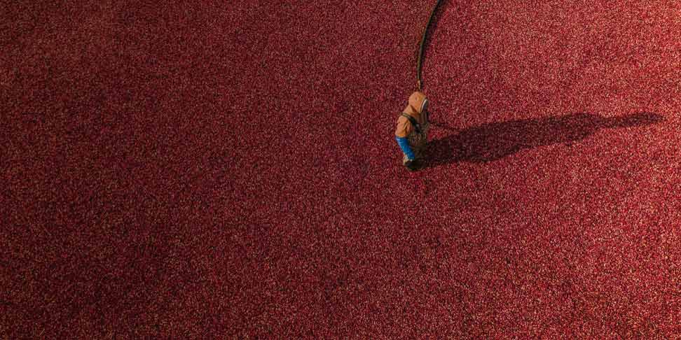 Using Disruption to Your Advantage